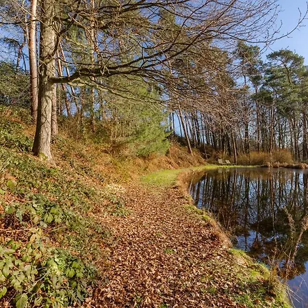 Apartman With Lake And Tennis Court Wavre